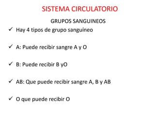 SISTEMA CIRCULATORIO
                GRUPOS SANGUINEOS
 Hay 4 tipos de grupo sanguíneo

 A: Puede recibir sangre A y O

 B: Puede recibir B yO

 AB: Que puede recibir sangre A, B y AB

 O que puede recibir O
 