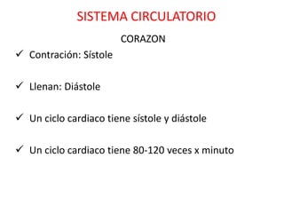SISTEMA CIRCULATORIO
                        CORAZON
 Contración: Sístole

 Llenan: Diástole

 Un ciclo cardiaco tiene sístole y diástole

 Un ciclo cardiaco tiene 80-120 veces x minuto
 