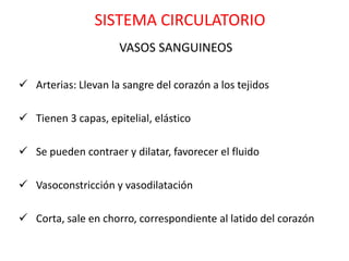 SISTEMA CIRCULATORIO
                     VASOS SANGUINEOS

 Arterias: Llevan la sangre del corazón a los tejidos

 Tienen 3 capas, epitelial, elástico

 Se pueden contraer y dilatar, favorecer el fluido

 Vasoconstricción y vasodilatación

 Corta, sale en chorro, correspondiente al latido del corazón
 