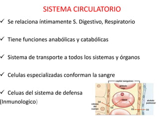 SISTEMA CIRCULATORIO
 Se relaciona íntimamente S. Digestivo, Respiratorio

 Tiene funciones anabólicas y catabólicas

 Sistema de transporte a todos los sistemas y órganos

 Celulas especializadas conforman la sangre

 Celuas del sistema de defensa
(Inmunologico)
 