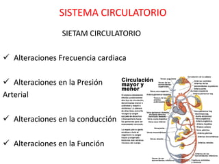 SISTEMA CIRCULATORIO
                SIETAM CIRCULATORIO

 Alteraciones Frecuencia cardiaca

 Alteraciones en la Presión
Arterial

 Alteraciones en la conducción

 Alteraciones en la Función
 