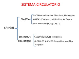 SISTEMA CIRCULATORIO

                     PROTEINAS(Albumina, Globulinas, Fibrinogeno
          PLASMA     GRASAS (Colesterol, trigliceridos, Ac Grasos
                     Sales Minerales (K,Mg, Ca y Cl)

SANGRE

         ELEMENOS     GLOBULOS ROJOS(Heritrocitos)

         FIGURADOS    GLOBULOS BLANCOS, Neutrofilos, vasofilos
                       Plaquetas
 