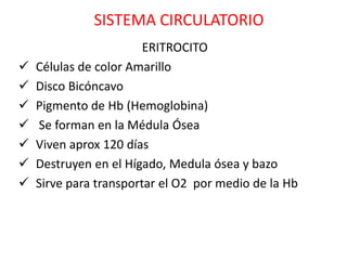SISTEMA CIRCULATORIO
                        ERITROCITO
   Células de color Amarillo
   Disco Bicóncavo
   Pigmento de Hb (Hemoglobina)
   Se forman en la Médula Ósea
   Viven aprox 120 días
   Destruyen en el Hígado, Medula ósea y bazo
   Sirve para transportar el O2 por medio de la Hb
 