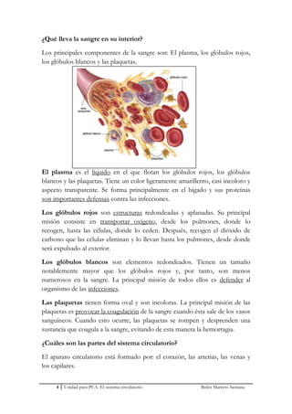 ¿Qué lleva la sangre en su interior?

Los principales componentes de la sangre son: El plasma, los glóbulos rojos,
los glóbulos blancos y las plaquetas.




El plasma es el líquido en el que flotan los glóbulos rojos, los glóbulos
blancos y las plaquetas. Tiene un color ligeramente amarillento, casi incoloro y
aspecto transparente. Se forma principalmente en el hígado y sus proteínas
son importantes defensas contra las infecciones.
Los glóbulos rojos son estructuras redondeadas y aplanadas. Su principal
misión consiste en transportar oxígeno, desde los pulmones, donde lo
recogen, hasta las células, donde lo ceden. Después, recogen el dióxido de
carbono que las células eliminan y lo llevan hasta los pulmones, desde donde
será expulsado al exterior.
Los glóbulos blancos son elementos redondeados. Tienen un tamaño
notablemente mayor que los glóbulos rojos y, por tanto, son menos
numerosos en la sangre. La principal misión de todos ellos es defender al
organismo de las infecciones.
Las plaquetas tienen forma oval y son incoloras. La principal misión de las
plaquetas es provocar la coagulación de la sangre cuando ésta sale de los vasos
sanguíneos. Cuando esto ocurre, las plaquetas se rompen y desprenden una
sustancia que coagula a la sangre, evitando de esta manera la hemorragia.

¿Cuáles son las partes del sistema circulatorio?
El aparato circulatorio está formado por: el corazón, las arterias, las venas y
los capilares.


     4   Unidad para PCA. El sistema circulatorio            Belén Marrero Santana
 