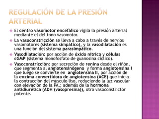  El centro vasomotor encefálico vigila la presión arterial
mediante el del tono vasomotor.
 La vasoconstricción se lleva...
