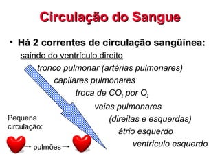 Circulação do SangueCirculação do Sangue
• Há 2 correntes de circulação sangüínea:Há 2 correntes de circulação sangüínea:
saindo do ventrículo direito
tronco pulmonar (artérias pulmonares)
capilares pulmonares
troca de CO2 por O2
veias pulmonares
(direitas e esquerdas)
átrio esquerdo
ventrículo esquerdo
Pequena
circulação:
pulmões
 