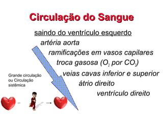 saindo do ventrículo esquerdo
artéria aorta
ramificações em vasos capilares
troca gasosa (O2 por CO2)
veias cavas inferior e superior
átrio direito
ventrículo direito
Circulação do SangueCirculação do Sangue
Grande circulação
ou Circulação
sistêmica
 