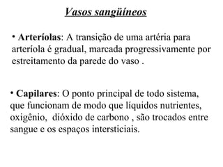 • Arteríolas: A transição de uma artéria para
arteríola é gradual, marcada progressivamente por
estreitamento da parede do vaso .
• Capilares: O ponto principal de todo sistema,
que funcionam de modo que líquidos nutrientes,
oxigênio, dióxido de carbono , são trocados entre
sangue e os espaços intersticiais.
Vasos sangüíneos
 