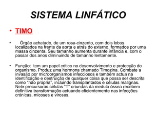 SISTEMA LINFÁTICO
• TIMO
•     Órgão achatado, de um rosa-cinzento, com dois lobos
localizados na frente da aorta e atrás do externo, formados por uma
massa cinzenta. Seu tamanho aumenta durante infância e, com o
passar dos anos diminuindo de tamanho lentamente.
• Função: tem um papel critico no desenvolvimento e protecção do
organismo. Produz uma hormona chamado Timozina. Combate a
invasão por microorganismos infecciosos e também actua na
identificação e destruição de qualquer coisa que possa ser descrita
como “não própria”, incluindo transplantados e células malignas.
Nele precursoras células “T” oriundas da medula óssea recebem
definitiva transformação actuando eficientemente nas infecções
crónicas, micoses e viroses.
 