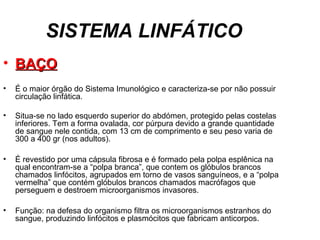 SISTEMA LINFÁTICO
• BAÇOBAÇO
• É o maior órgão do Sistema Imunológico e caracteriza-se por não possuir
circulação linfática.
• Situa-se no lado esquerdo superior do abdómen, protegido pelas costelas
inferiores. Tem a forma ovalada, cor púrpura devido a grande quantidade
de sangue nele contida, com 13 cm de comprimento e seu peso varia de
300 a 400 gr (nos adultos).
• É revestido por uma cápsula fibrosa e é formado pela polpa esplênica na
qual encontram-se a “polpa branca”, que contem os glóbulos brancos
chamados linfócitos, agrupados em torno de vasos sanguíneos, e a “polpa
vermelha” que contém glóbulos brancos chamados macrófagos que
perseguem e destroem microorganismos invasores.
• Função: na defesa do organismo filtra os microorganismos estranhos do
sangue, produzindo linfócitos e plasmócitos que fabricam anticorpos.
 