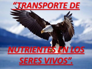 “TRANSPORTE DE
NUTRIENTES EN LOS
SERES VIVOS”.
 