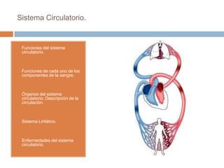 Sistema Circulatorio.
• Funciones del sistema
circulatorio.
• Funciones de cada uno de los
componentes de la sangre.
• Órganos del sistema
circulatorio. Descripción de la
circulación.
• Sistema Linfático.
• Enfermedades del sistema
circulatorio.
 