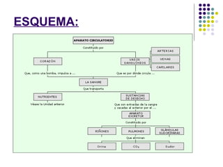 ESQUEMA:
 