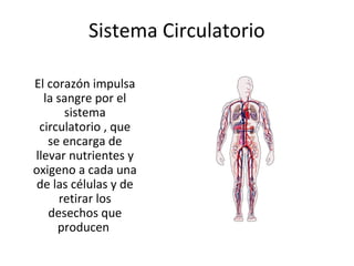 Sistema Circulatorio
El corazón impulsa
la sangre por el
sistema
circulatorio , que
se encarga de
llevar nutrientes y
oxigeno a cada una
de las células y de
retirar los
desechos que
producen

 