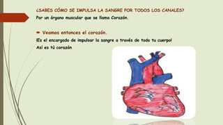 ¿SABES CÓMO SE IMPULSA LA SANGRE POR TODOS LOS CANALES?
Por un órgano muscular que se llama Corazón.
 Veamos entonces el corazón.
¡Es el encargado de impulsar la sangre a través de todo tu cuerpo!
Así es tú corazón
 