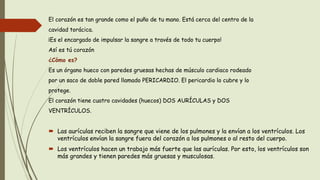 El corazón es tan grande como el puño de tu mano. Está cerca del centro de la
cavidad torácica.
¡Es el encargado de impulsar la sangre a través de todo tu cuerpo!
Así es tú corazón
¿Cómo es?
Es un órgano hueco con paredes gruesas hechas de músculo cardiaco rodeado
por un saco de doble pared llamado PERICARDIO. El pericardio lo cubre y lo
protege.
El corazón tiene cuatro cavidades (huecos) DOS AURÍCULAS y DOS
VENTRÍCULOS.
 Las aurículas reciben la sangre que viene de los pulmones y la envían a los ventrículos. Los
ventrículos envían la sangre fuera del corazón a los pulmones o al resto del cuerpo.
 Los ventrículos hacen un trabajo más fuerte que las aurículas. Por esto, los ventrículos son
más grandes y tienen paredes más gruesas y musculosas.
 
