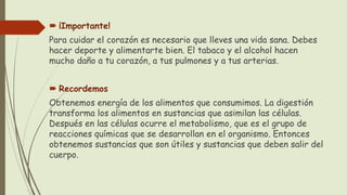  ¡Importante!
Para cuidar el corazón es necesario que lleves una vida sana. Debes
hacer deporte y alimentarte bien. El tabaco y el alcohol hacen
mucho daño a tu corazón, a tus pulmones y a tus arterias.
 Recordemos
Obtenemos energía de los alimentos que consumimos. La digestión
transforma los alimentos en sustancias que asimilan las células.
Después en las células ocurre el metabolismo, que es el grupo de
reacciones químicas que se desarrollan en el organismo. Entonces
obtenemos sustancias que son útiles y sustancias que deben salir del
cuerpo.
 