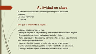 Actividad en clase
El sistema circulatorio está formado por tres partes esenciales:
La sangre
Las venas y arterias
El corazón
¿Por qué es importante la sangre?
La sangre es esencial para la vida.
• Recoge el oxígeno en los pulmones y los nutrientes en el intestino delgado.
• Transporta los nutrientes y el oxigeno hacia las células.
• Toma los productos de desecho y los transporta a la piel, a los pulmones o
a los riñones para ser eliminados.
• La sangre también transporta materiales que permiten formar
coágulos y materiales que ayudan a prevenir y combatir enfermedades.
• La sangre es la encargada de mantener todo el cuerpo caliente
 