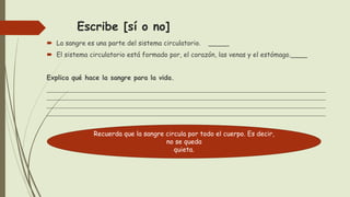 Escribe [sí o no]
 La sangre es una parte del sistema circulatorio. _____
 El sistema circulatorio está formado por, el corazón, las venas y el estómago.____
Explica qué hace la sangre para la vida.
_____________________________________________________________________________________
_____________________________________________________________________________________
_____________________________________________________________________________________
_____________________________________________________________________________________
Recuerda que la sangre circula por todo el cuerpo. Es decir,
no se queda
quieta.
 