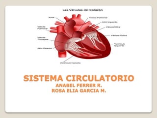 SISTEMA CIRCULATORIO
ANABEL FERRER R.
ROSA ELIA GARCIA M.
 