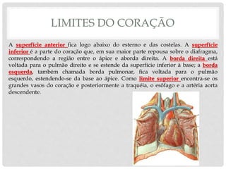 LIMITES DO CORAÇÃO
A superfície anterior fica logo abaixo do esterno e das costelas. A superfície
inferior é a parte do coração que, em sua maior parte repousa sobre o diafragma,
correspondendo a região entre o ápice e aborda direita. A borda direita está
voltada para o pulmão direito e se estende da superfície inferior à base; a borda
esquerda, também chamada borda pulmonar, fica voltada para o pulmão
esquerdo, estendendo-se da base ao ápice. Como limite superior encontra-se os
grandes vasos do coração e posteriormente a traquéia, o esôfago e a artéria aorta
descendente.
 