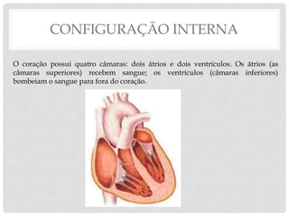 CONFIGURAÇÃO INTERNA
O coração possui quatro câmaras: dois átrios e dois ventrículos. Os átrios (as
câmaras superiores) recebem sangue; os ventrículos (câmaras inferiores)
bombeiam o sangue para fora do coração.
 