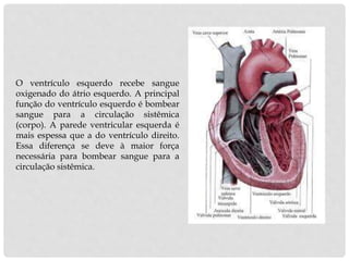 O ventrículo esquerdo recebe sangue
oxigenado do átrio esquerdo. A principal
função do ventrículo esquerdo é bombear
sangue para a circulação sistêmica
(corpo). A parede ventricular esquerda é
mais espessa que a do ventrículo direito.
Essa diferença se deve à maior força
necessária para bombear sangue para a
circulação sistêmica.
 