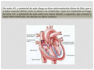 Do nodo AV, o potencial de ação chega ao feixe atrioventricular (feixe de His), que é
a única conexão elétrica entre os átrios e os ventrículos. Após ser conduzido ao longo
do feixe AV, o potencial de ação entra nos ramos direito e esquerdo, que cruzam o
septo interventricular, em direção ao ápice cardíaco.
 