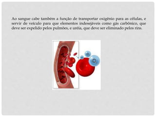 Ao sangue cabe também a função de transportar oxigênio para as células, e
servir de veículo para que elementos indesejáveis como gás carbônico, que
deve ser expelido pelos pulmões, e uréia, que deve ser eliminado pelos rins.
 