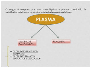 O sangue é composto por uma parte líquida, o plasma, constituido de
substâncias nutritivas e elementos residuais das reações celulares.
PLASMA
GLÓBULOS
SANGÜÍNEOS
PLAQUETAS
 GLOBULOS VERMELHOS-
HEMACEAS
 GLOBULOS BRANCOS-
LINFOCITOS E LEUCOCITOS
 
