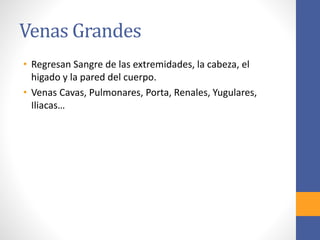 Venas Grandes 
• Regresan Sangre de las extremidades, la cabeza, el 
higado y la pared del cuerpo. 
• Venas Cavas, Pulmonares, Porta, Renales, Yugulares, 
Iliacas… 
 