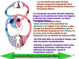 25
• El aparato circulatorio tieneEl aparato circulatorio tiene
varias funcionesvarias funciones sirve para llevar lossirve para llevar los
alimentosalimentos y el oxígeno a lasy el oxígeno a las célulascélulas, y para, y para
recoger los desechos metabólicos que serecoger los desechos metabólicos que se
han de eliminar después por loshan de eliminar después por los riñonesriñones, en, en
lala orinaorina, y por el aire exalado en los, y por el aire exalado en los
pulmones, rico en dióxido de carbono (CO2).pulmones, rico en dióxido de carbono (CO2).
•De toda esta labor se encarga la sangre, queDe toda esta labor se encarga la sangre, que
está circulando constantemente.está circulando constantemente.
•Además, el aparato circulatorio tiene otrasAdemás, el aparato circulatorio tiene otras
destacadas funciones: interviene en lasdestacadas funciones: interviene en las
defensas del organismo, regula ladefensas del organismo, regula la
temperatura corporal.temperatura corporal.
•La circulación que parte del ladoLa circulación que parte del lado
derecho asegura la oxigenación de laderecho asegura la oxigenación de la
sangre; se llama Circulación Pulmonar osangre; se llama Circulación Pulmonar o
Circulación Menor.Circulación Menor.
•La circulación que parte del lado izquierdo,La circulación que parte del lado izquierdo,
asegura la circulación por todos los órganosasegura la circulación por todos los órganos
y vísceras del cuerpo humano; se llamay vísceras del cuerpo humano; se llama
Circulación Mayor.Circulación Mayor.
Circulación Mayor y Circulación MenorCirculación Mayor y Circulación MenorCirculación Mayor y Circulación MenorCirculación Mayor y Circulación Menor
 