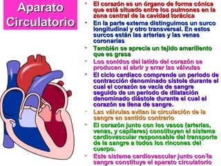 3
AparatoAparato
CirculatorioCirculatorio
• El corazón es un órgano de forma cónicaEl corazón es un órgano de forma cónica
que está situado entre los pulmones en laque está situado entre los pulmones en la
zona central de la cavidad torácicazona central de la cavidad torácica
• En la parte externa distinguimos un surcoEn la parte externa distinguimos un surco
longitudinal y otro transversal. En estoslongitudinal y otro transversal. En estos
surcos están las arterias y las venassurcos están las arterias y las venas
coronariascoronarias
• También se aprecia un tejido amarillentoTambién se aprecia un tejido amarillento
que es grasaque es grasa
• Los sonidos del latido del corazón seLos sonidos del latido del corazón se
producen al abrir y errar las válvulasproducen al abrir y errar las válvulas
• El ciclo cardiaco comprende un periodo deEl ciclo cardiaco comprende un periodo de
contracción denominado sístole durante elcontracción denominado sístole durante el
cual el corazón se vacía de sangrecual el corazón se vacía de sangre
seguido de un periodo de dilataciónseguido de un periodo de dilatación
denominado diástole durante el cual eldenominado diástole durante el cual el
corazón se llena de sangre.corazón se llena de sangre.
• Las válvulas evitan la circulación de laLas válvulas evitan la circulación de la
sangre en sentido contrariosangre en sentido contrario
• El corazón junto con los vasos (arterias,El corazón junto con los vasos (arterias,
venas, y capilares) constituyen el sistemavenas, y capilares) constituyen el sistema
cardiovascular responsable del transportecardiovascular responsable del transporte
de la sangre a todos los rincones delde la sangre a todos los rincones del
cuerpo.cuerpo.
• Este sistema cardiovascular junto con laEste sistema cardiovascular junto con la
sangre constituye el aparato circulatoriosangre constituye el aparato circulatorio
 