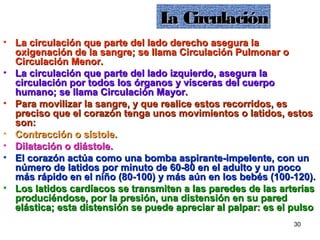 30
La CirculaciónLa Circulación
• La circulación que parte del lado derecho asegura laLa circulación que parte del lado derecho asegura la
oxigenación de la sangre; se llama Circulación Pulmonar ooxigenación de la sangre; se llama Circulación Pulmonar o
Circulación Menor.Circulación Menor.
• La circulación que parte del lado izquierdo, asegura laLa circulación que parte del lado izquierdo, asegura la
circulación por todos los órganos y vísceras del cuerpocirculación por todos los órganos y vísceras del cuerpo
humano; se llama Circulación Mayor.humano; se llama Circulación Mayor.
• Para movilizar la sangre, y que realice estos recorridos, esPara movilizar la sangre, y que realice estos recorridos, es
preciso que el corazón tenga unos movimientos o latidos, estospreciso que el corazón tenga unos movimientos o latidos, estos
son:son:
• Contracción o sístole.Contracción o sístole.
• Dilatación o diástole.Dilatación o diástole.
• El corazón actúa como una bomba aspirante-impelente, con unEl corazón actúa como una bomba aspirante-impelente, con un
número de latidos por minuto de 60-80 en el adulto y un poconúmero de latidos por minuto de 60-80 en el adulto y un poco
más rápido en el niño (80-100) y más aún en los bebés (100-120).más rápido en el niño (80-100) y más aún en los bebés (100-120).
• Los latidos cardíacos se transmiten a las paredes de las arteriasLos latidos cardíacos se transmiten a las paredes de las arterias
produciéndose, por la presión, una distensión en su paredproduciéndose, por la presión, una distensión en su pared
elástica; esta distensión se puede apreciar al palpar: es el pulsoelástica; esta distensión se puede apreciar al palpar: es el pulso
 
