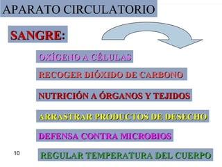 31
APARATO CIRCULATORIO
OXÍGENO A CÉLULASOXÍGENO A CÉLULAS
RECOGER DIÓXIDO DE CARBONORECOGER DIÓXIDO DE CARBONO
NUTRICIÓN A ÓRGANOS Y TEJIDOSNUTRICIÓN A ÓRGANOS Y TEJIDOS
ARRASTRAR PRODUCTOS DE DESECHOARRASTRAR PRODUCTOS DE DESECHO
DEFENSA CONTRA MICROBIOSDEFENSA CONTRA MICROBIOS
REGULAR TEMPERATURA DEL CUERPOREGULAR TEMPERATURA DEL CUERPO
SANGRESANGRE:
10
 