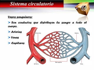 Vasos sanguíneos:
Son conductos que distribuyen la sangre a todo el
cuerpo.
Arterias
Venas
Capilares
Sistema circulatorio
 