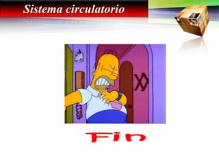 Sistema circulatorio
 