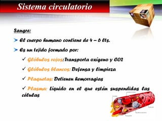 Sangre:
El cuerpo humano contiene de 4 – 6 lts.
Es un tejido formado por:
 Glóbulos rojos:Transporta oxígeno y CO2
 Glóbulos blancos: Defensa y limpieza
 Plaquetas: Detienen hemorragias
 Plasma: Líquido en el que están suspendidas las
células
Sistema circulatorio
 