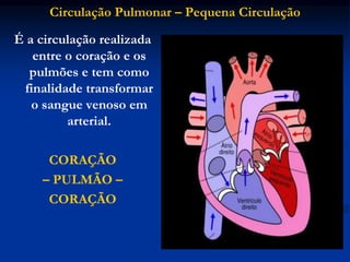Circulação Pulmonar – Pequena Circulação
É a circulação realizada
entre o coração e os
pulmões e tem como
finalidade transformar
o sangue venoso em
arterial.
CORAÇÃO
– PULMÃO –
CORAÇÃO
 
