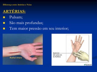 Diferença entre Artérias e Veias
ARTÉRIAS:
 Pulsam;
 São mais profundas;
 Tem maior pressão em seu interior;
 