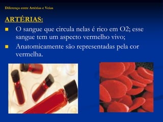 Diferença entre Artérias e Veias
ARTÉRIAS:
 O sangue que circula nelas é rico em O2; esse
sangue tem um aspecto vermelho vivo;
 Anatomicamente são representadas pela cor
vermelha.
 
