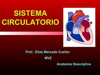 SISTEMASISTEMA
CIRCULATORIOCIRCULATORIO
Prof.. Elías Mercado Cuellar
MVZ
Anatomía Descriptiva
 