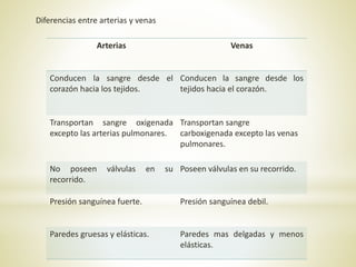 Arterias Venas
Conducen la sangre desde el
corazón hacia los tejidos.
Conducen la sangre desde los
tejidos hacia el corazón.
Transportan sangre oxigenada
excepto las arterias pulmonares.
Transportan sangre
carboxigenada excepto las venas
pulmonares.
No poseen válvulas en su
recorrido.
Poseen válvulas en su recorrido.
Presión sanguínea fuerte. Presión sanguínea debil.
Paredes gruesas y elásticas. Paredes mas delgadas y menos
elásticas.
Diferencias entre arterias y venas
 