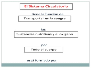 tiene la función de
las
por
está formado por
El Sistema Circulatorio
Transportar en la sangre
Sustancias nutritivas y el oxígeno
Todo el cuerpo
 