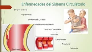 Bloqueo cardíaco
Taquiarritmias
Síndrome del QT largo
Taquicardia paroxística
Fibrilación
Aterosclerosis
Aneurisma
TrombosisAneurisma de Aorta
Parada cardiorrespiratoria
 