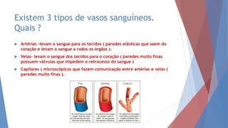 Existem 3 tipos de vasos sanguíneos.
Quais ?
 Artérias -levam o sangue para os tecidos ( paredes elásticas que saem do
coração e levam o sangue a rodos os órgãos ).
 Veias- levam o sangue dos tecidos para o coração ( paredes muito finas
possuem válvulas que impedem o retrocesso do sangue )
 Capilares ( microscópicos que fazem comunicação entre artérias e veias (
paredes muito finas ).
 