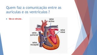 Quem faz a comunicação entre as
aurículas e os ventrículos ?
 São as válvulas .
 