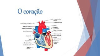 O coração
 