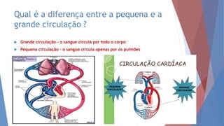 Qual é a diferença entre a pequena e a
grande circulação ?
 Grande circulação – o sangue circula por todo o corpo
 Pequena circulação – o sangue circula apenas por os pulmões
 