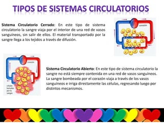 Sistema Circulatorio Cerrado: En este tipo de sistema
circulatorio la sangre viaja por el interior de una red de vasos
sanguíneos, sin salir de ellos. El material transportado por la
sangre llega a los tejidos a través de difusión.
Sistema Circulatorio Abierto: En este tipo de sistema circulatorio la
sangre no está siempre contenida en una red de vasos sanguíneos.
La sangre bombeada por el corazón viaja a través de los vasos
sanguíneos e irriga directamente las células, regresando luego por
distintos mecanismos.
 
